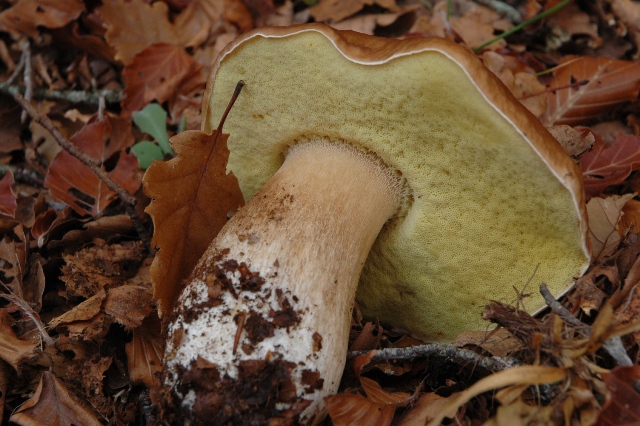 Per me non � facile.